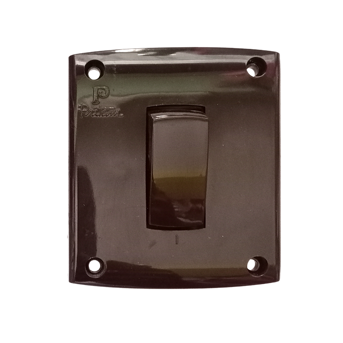 16A Switch SM (Pack of 1)