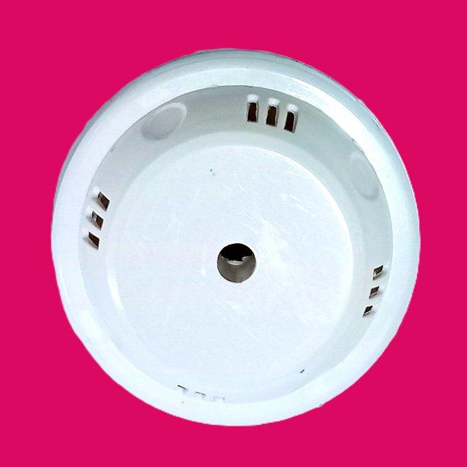 Jumbo Ciling Rose Jony